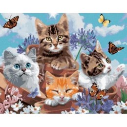 Malowanie po numerach 4 kotki z motylami 40 x 50cm 6374