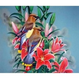 Malowanie po numerach Ptaszki na gałęzi 40 x 50 5644