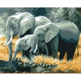 Malowanie po numerach Słonie rodzina nad rzeką 40 x 50cm 5589