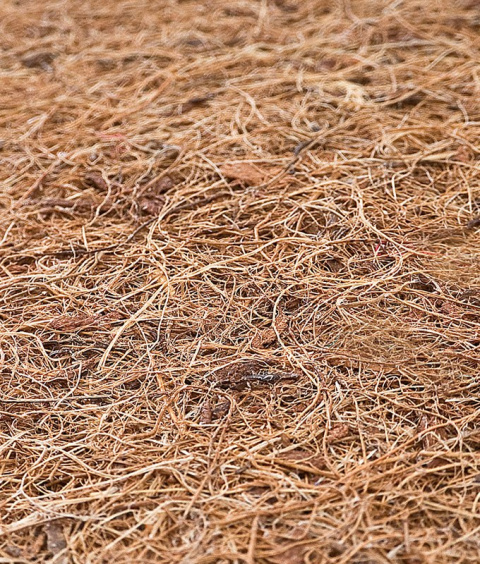 Materac Sensillo Kokos-Pianka 140x70 cm