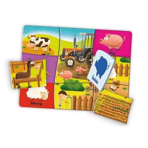 Gra angielski mały odkrywca TREFL