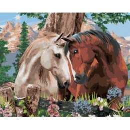 Malowanie po numerach Dwa konie 40 x 50cm 6377