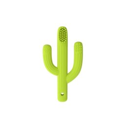 Szczoteczka kaktus