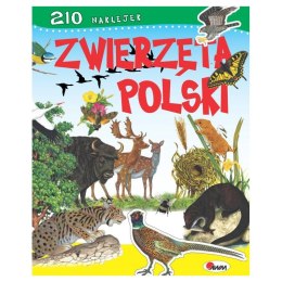 Zwierzęta polski + naklejki