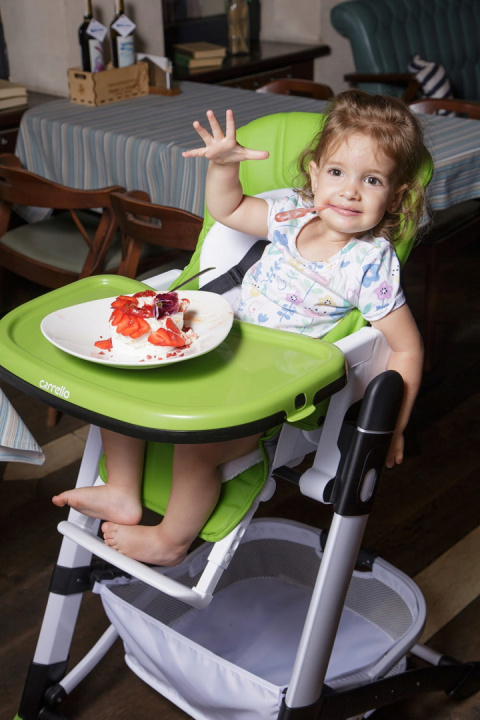 Apricus Carrello krzesełko do karmienia CRL-14201 Pale Terracota