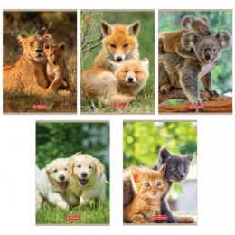 Zeszyt w kratkę a5 16 kartek - animals HERLITZ