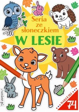 Książka Seria ze słonecznikiem w lesie. Books and fun