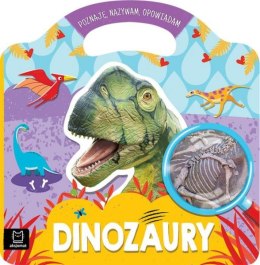 Książka Dinozaury - Poznaję, nazywam, opowiadam AKSJOMAT
