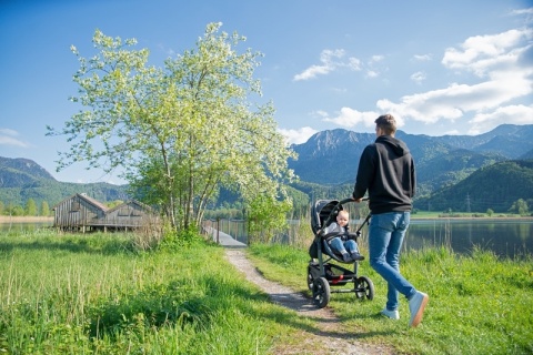 TFK gondola / siedzisko Mono Combi do wózka Mono 1 szt. - szara