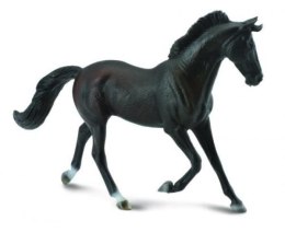 Klacz Thoroughbred maści czarnej 88478 COLLECTA