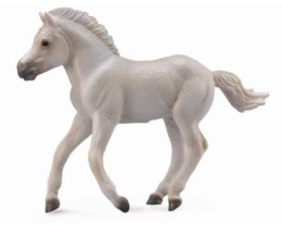 Kon Fjord foal szary. 88633 COLLECTA