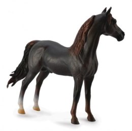 Koń Morgan stallion chestnut 88647 COLLECTA