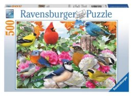 Puzzle 500el Ogrodowe ptaki 142231 RAVENSBURGER