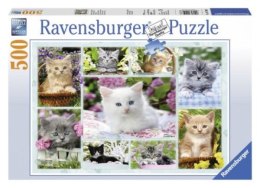 Puzzle 500el Kotek w koszyku 141968 RAVENSBURGER
