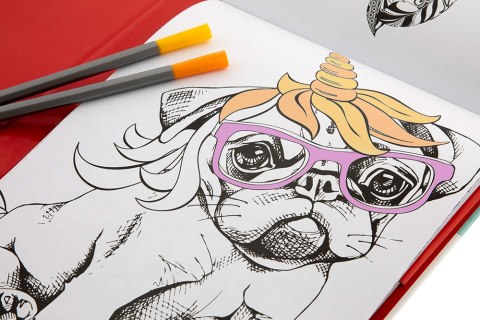 Kreatywne kolorowanie 48 wzorów + 8 finelinery