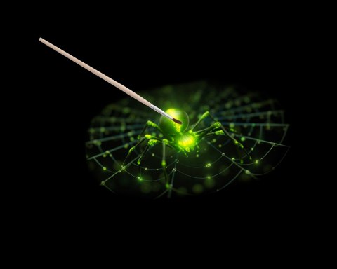 4 W 1 ŚWIECENIE W CIEMNOŚCI, ZESTAW NAUKOWY