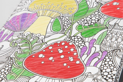 Kolorowanka luxe z brokatem