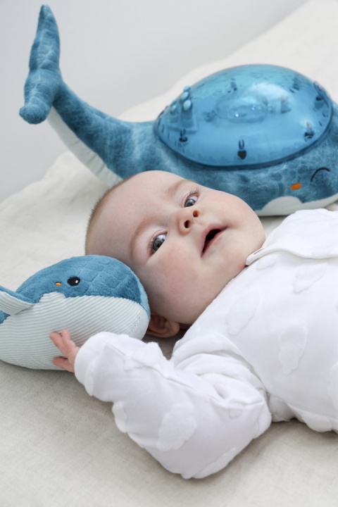 Cloud b®Tranquil Whale™ Zestaw: lampka i grzechotka - Wieloryb niebieski