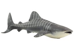 Duża Figurka Kolekcjonerska Rekin Wielorybi World The Sea