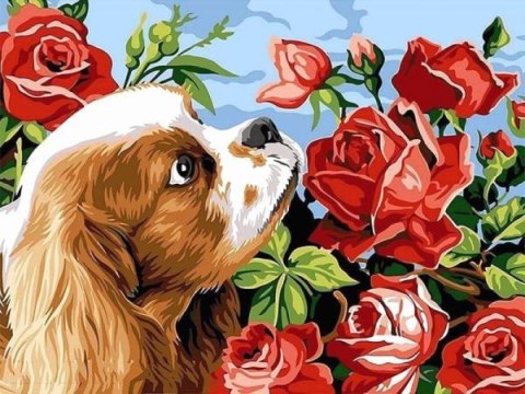 Malowanie po numerach Pies z różami 40x50cm 1006970