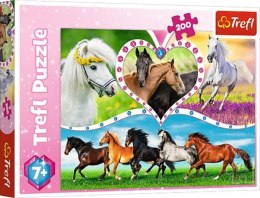 Puzzle 200el Piękne konie 13248 Trefl p12