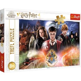 Puzzle 300el Tajemniczy Harry Potter 23001 Trefl p8
