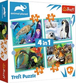 Puzzle 4w1 Tajemniczy świat zwierząt / Discovery Animal Planet 34382 Trefl p8