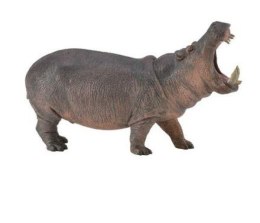 Hipopotam 88833 COLLECTA
