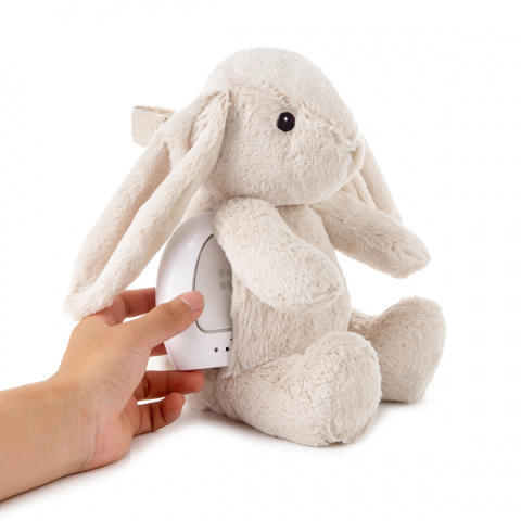 Cloud b® Love Light Buddies Billy Bunny™ - Szumiący Królik z czujnikiem ruchu i pozytywką