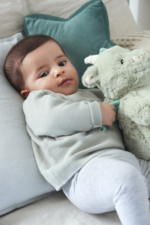 Cloud b® Love Light Buddies Drake the Dragon™ - Szumiący Smok z czujnikiem ruchu i pozytywką