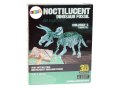 Zestaw Archeologiczny Wykopaliska Dinozaur Szkielet 3D Triceratops Hologram