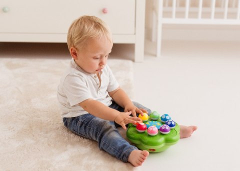 DUMEL DD 62371 Symfonia grzybków