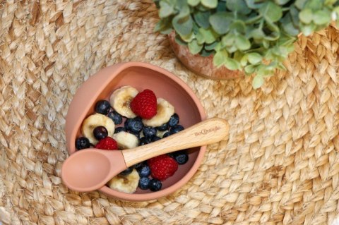 B-Silikonowa miska z przyssawką i łyżeczką terraco