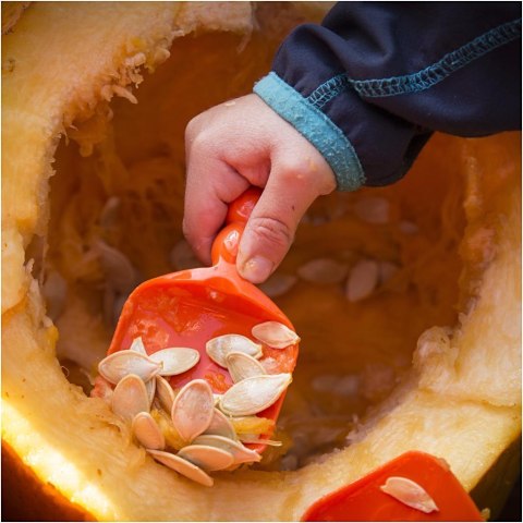 Narzędzia dla Dzieci do wycinania Dyni