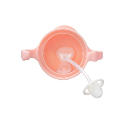 Bidon ze słomką 240ml tutti f. BBOX