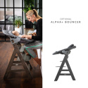 ALPHA+ Hauck krzesełko do karmienia drewniane - Select Charcoal