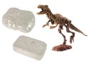Zestaw Archeologiczny 2w1 Dinozaur Szkielet Tyranozaur