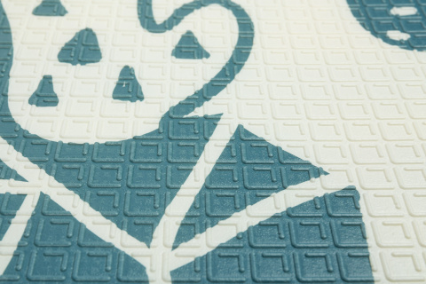 Toyz Mata wielofunkcyjna KAKTUSY TOYZ z pianki XPE 200 x 180