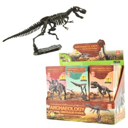 3D szkielet dinozaurów - display 12 szt