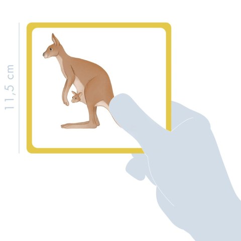 Karty z obrazkami Dzikie zwierzęta