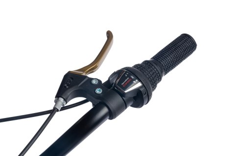 Rowerek dla dziewczynki 20 cali Heart bike 6-biegowa SHIMANO - czarny & złoty