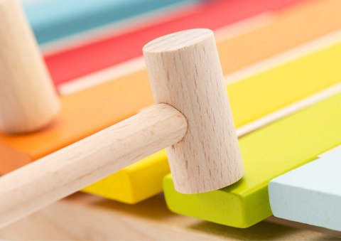 Kolorowe Drewniane Cymbałki Edukacyjne LKS-2 14033