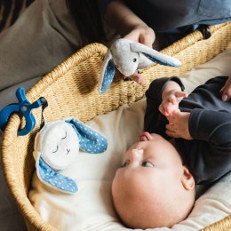 WHISBEAR Grzechotka Króliczek Felek szary