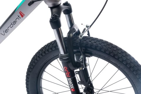 Rower dla dziecka 20 cali MTB unisex Verdant Juniper 6 przerzutek Shimano srebrny