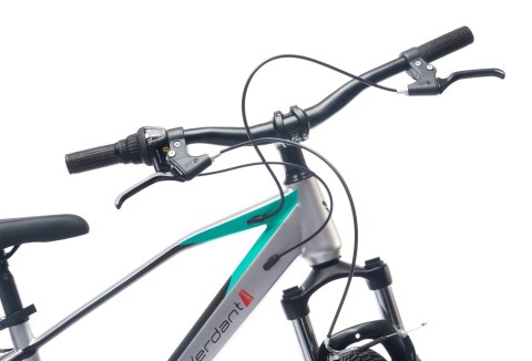 Rower dla dziecka 20 cali MTB unisex Verdant Juniper 6 przerzutek Shimano srebrny