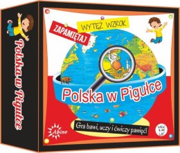Polska w pigułce gra ABINO