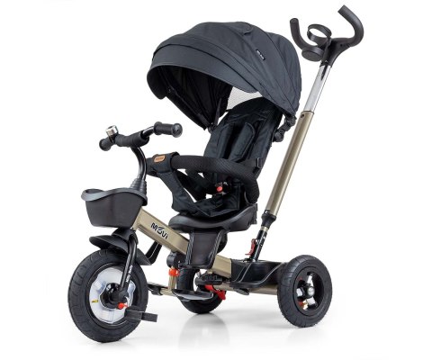 Milly Mally Rowerek Trójkołowy Movi Gold