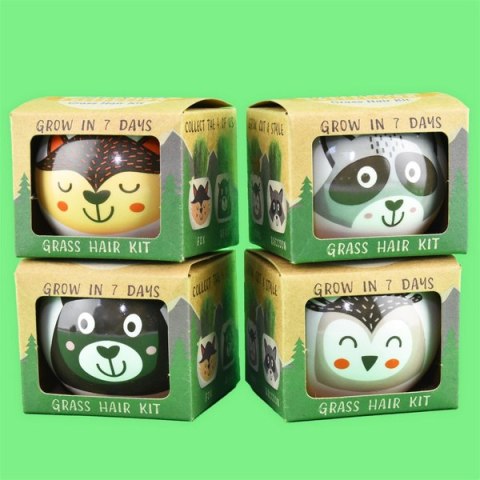 Eco hodowla trawy w doniczce Leśne zwierzątka - display 24 szt