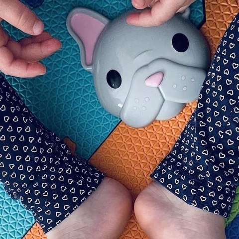 Melii - sensoryczny pojemnik na przekąski French Bulldog