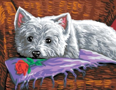 Malowanie po numerach Pies Romeo 39x30cm 2118